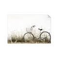 Picture of Leaning Bike  _GroupedProduct_Rectangle_Landscape_Photography _GroupedProduct_Rectangle_Landscape_Unframed_Print_Only_