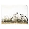 Picture of Leaning Bike  _GroupedProduct_Rectangle_Landscape_Photography _GroupedProduct_Rectangle_Landscape_Unframed_Print_Only_