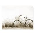 Picture of Leaning Bike  _GroupedProduct_Rectangle_Landscape_Photography _GroupedProduct_Rectangle_Landscape_Unframed_Print_Only_