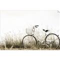 Picture of Leaning Bike  _GroupedProduct_Rectangle_Landscape_Photography _GroupedProduct_Rectangle_Landscape_Unframed_Print_Only_
