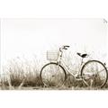Picture of Leaning Bike  _GroupedProduct_Rectangle_Landscape_Photography _GroupedProduct_Rectangle_Landscape_Unframed_Print_Only_