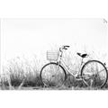 Picture of Leaning Bike  _GroupedProduct_Rectangle_Landscape_Photography _GroupedProduct_Rectangle_Landscape_Unframed_Print_Only_