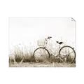 Picture of Leaning Bike  _GroupedProduct_Rectangle_Landscape_Photography _GroupedProduct_Rectangle_Landscape_Unframed_Print_Only_