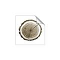 Picture of Log Slice I _GroupedProduct_Square_Photography _GroupedProduct_Square_Unframed_Print_Only_