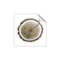 Picture of Log Slice I _GroupedProduct_Square_Photography _GroupedProduct_Square_Unframed_Print_Only_