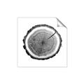 Picture of Log Slice I _GroupedProduct_Square_Photography _GroupedProduct_Square_Unframed_Print_Only_