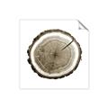 Picture of Log Slice I _GroupedProduct_Square_Photography _GroupedProduct_Square_Unframed_Print_Only_