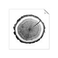Picture of Log Slice I _GroupedProduct_Square_Photography _GroupedProduct_Square_Unframed_Print_Only_