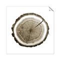 Picture of Log Slice I _GroupedProduct_Square_Photography _GroupedProduct_Square_Unframed_Print_Only_