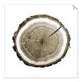 Picture of Log Slice I _GroupedProduct_Square_Photography _GroupedProduct_Square_Unframed_Print_Only_