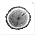 Picture of Log Slice I _GroupedProduct_Square_Photography _GroupedProduct_Square_Unframed_Print_Only_
