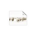 Picture of Sheep Party _GroupedProduct_Rectangle_Landscape_Photography _GroupedProduct_Rectangle_Landscape_Unframed_Print_Only_