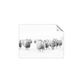 Picture of Sheep Party _GroupedProduct_Rectangle_Landscape_Photography _GroupedProduct_Rectangle_Landscape_Unframed_Print_Only_