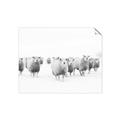 Picture of Sheep Party _GroupedProduct_Rectangle_Landscape_Photography _GroupedProduct_Rectangle_Landscape_Unframed_Print_Only_