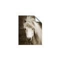 Picture of Stallion _GroupedProduct_Rectangle_Portrait_Photography _GroupedProduct_Rectangle_Portrait_Unframed_Print_Only_
