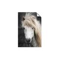Picture of Stallion _GroupedProduct_Rectangle_Portrait_Photography _GroupedProduct_Rectangle_Portrait_Unframed_Print_Only_
