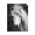 Picture of Stallion _GroupedProduct_Rectangle_Portrait_Photography _GroupedProduct_Rectangle_Portrait_Unframed_Print_Only_