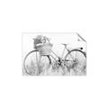 Picture of Field Bike _GroupedProduct_Rectangle_Landscape_Photography _GroupedProduct_Rectangle_Landscape_Unframed_Print_Only_