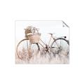 Picture of Field Bike _GroupedProduct_Rectangle_Landscape_Photography _GroupedProduct_Rectangle_Landscape_Unframed_Print_Only_