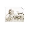 Picture of Field Bike _GroupedProduct_Rectangle_Landscape_Photography _GroupedProduct_Rectangle_Landscape_Unframed_Print_Only_