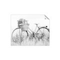 Picture of Field Bike _GroupedProduct_Rectangle_Landscape_Photography _GroupedProduct_Rectangle_Landscape_Unframed_Print_Only_