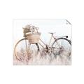 Picture of Field Bike _GroupedProduct_Rectangle_Landscape_Photography _GroupedProduct_Rectangle_Landscape_Unframed_Print_Only_
