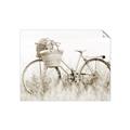 Picture of Field Bike _GroupedProduct_Rectangle_Landscape_Photography _GroupedProduct_Rectangle_Landscape_Unframed_Print_Only_