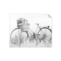 Picture of Field Bike _GroupedProduct_Rectangle_Landscape_Photography _GroupedProduct_Rectangle_Landscape_Unframed_Print_Only_