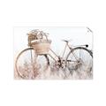 Picture of Field Bike _GroupedProduct_Rectangle_Landscape_Photography _GroupedProduct_Rectangle_Landscape_Unframed_Print_Only_