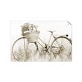 Picture of Field Bike _GroupedProduct_Rectangle_Landscape_Photography _GroupedProduct_Rectangle_Landscape_Unframed_Print_Only_
