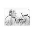 Picture of Field Bike _GroupedProduct_Rectangle_Landscape_Photography _GroupedProduct_Rectangle_Landscape_Unframed_Print_Only_