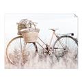 Picture of Field Bike _GroupedProduct_Rectangle_Landscape_Photography _GroupedProduct_Rectangle_Landscape_Unframed_Print_Only_