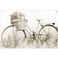 Picture of Field Bike _GroupedProduct_Rectangle_Landscape_Photography _GroupedProduct_Rectangle_Landscape_Unframed_Print_Only_