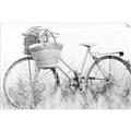 Picture of Field Bike _GroupedProduct_Rectangle_Landscape_Photography _GroupedProduct_Rectangle_Landscape_Unframed_Print_Only_