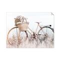 Picture of Field Bike _GroupedProduct_Rectangle_Landscape_Photography _GroupedProduct_Rectangle_Landscape_Unframed_Print_Only_