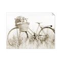 Picture of Field Bike _GroupedProduct_Rectangle_Landscape_Photography _GroupedProduct_Rectangle_Landscape_Unframed_Print_Only_