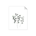Picture of  Leaves l  _GroupedProduct_Rectangle_Portrait_Unframed_Print_Only_