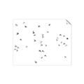 Picture of Flying Birds _GroupedProduct_Rectangle_Landscape_Photography _GroupedProduct_Rectangle_Landscape_Unframed_Print_Only_
