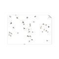 Picture of Flying Birds _GroupedProduct_Rectangle_Landscape_Photography _GroupedProduct_Rectangle_Landscape_Unframed_Print_Only_