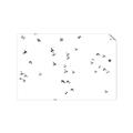 Picture of Flying Birds _GroupedProduct_Rectangle_Landscape_Photography _GroupedProduct_Rectangle_Landscape_Unframed_Print_Only_