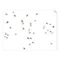 Picture of Flying Birds _GroupedProduct_Rectangle_Landscape_Photography _GroupedProduct_Rectangle_Landscape_Unframed_Print_Only_