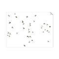 Picture of Flying Birds _GroupedProduct_Rectangle_Landscape_Photography _GroupedProduct_Rectangle_Landscape_Unframed_Print_Only_