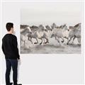 Picture of Horses Running in Water _GroupedProduct_Rectangle_Landscape_Photography _GroupedProduct_Rectangle_Landscape_Canvas_