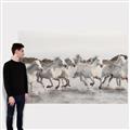 Picture of Horses Running in Water _GroupedProduct_Rectangle_Landscape_Photography _GroupedProduct_Rectangle_Landscape_Canvas_