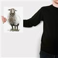 Picture of Watercolour Sheep  _GroupedProduct_Rectangle_Portrait_Canvas_
