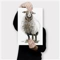 Picture of Watercolour Sheep  _GroupedProduct_Rectangle_Portrait_Canvas_