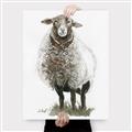 Picture of Watercolour Sheep  _GroupedProduct_Rectangle_Portrait_Canvas_