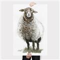 Picture of Watercolour Sheep  _GroupedProduct_Rectangle_Portrait_Canvas_