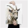 Picture of Watercolour Ram  _GroupedProduct_Rectangle_Portrait_Canvas_