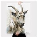 Picture of Watercolour Ram  _GroupedProduct_Rectangle_Portrait_Canvas_